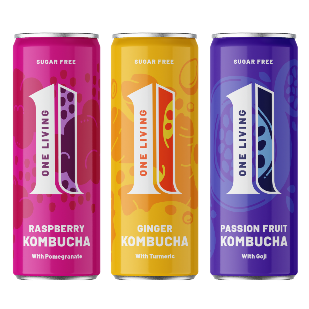 Sugar Free Kombucha Multi Pack